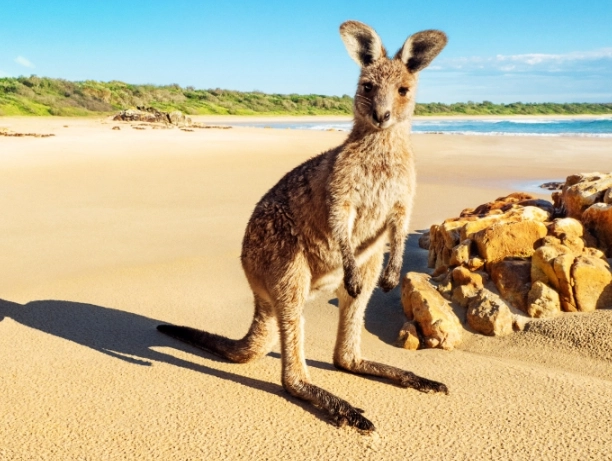 best time to visit Australia best time to visit Australia