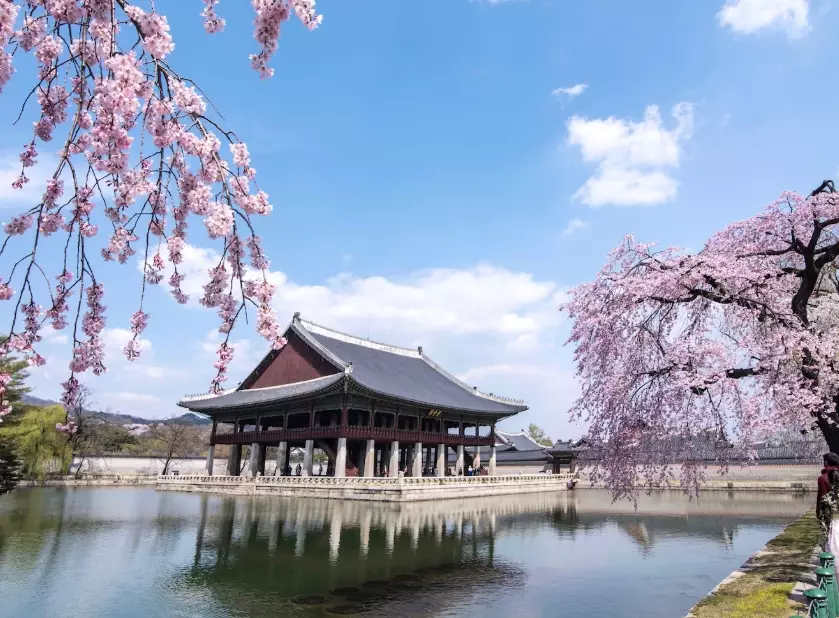 best time to visit South Korea