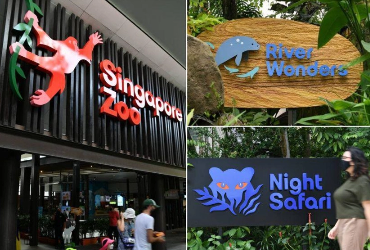 Singapore travel guide