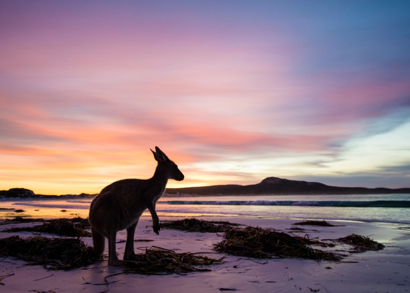 best time to visit Australia best time to visit Australia