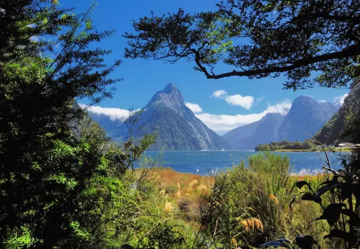 New Zealand Tourism Places: Your Ultimate Guide to Top Destinations & Hidden Gems