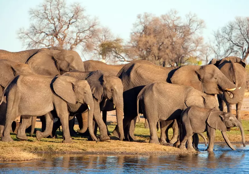 African safari tours