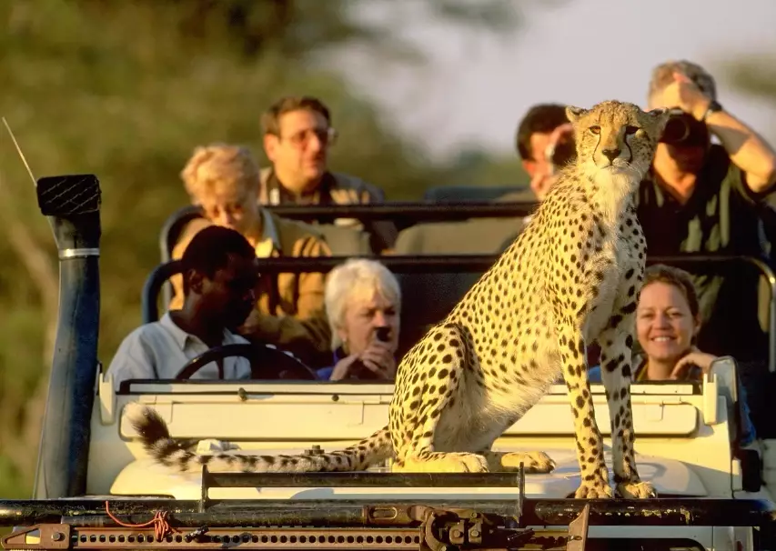 African safari tours