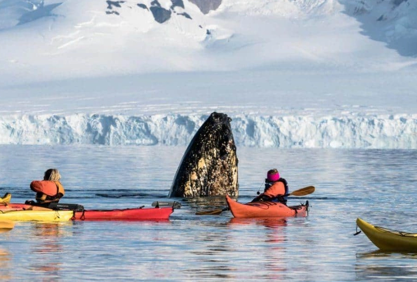 Antarctica travel guide Antarctica travel guide