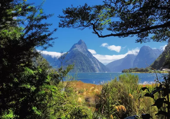 cost to travel New Zealand