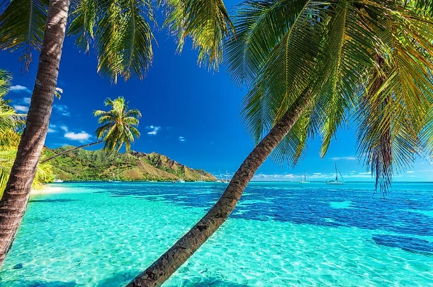 Your Ultimate Guide to Tahiti Tourism from the USA: Flights, Costs & Tips