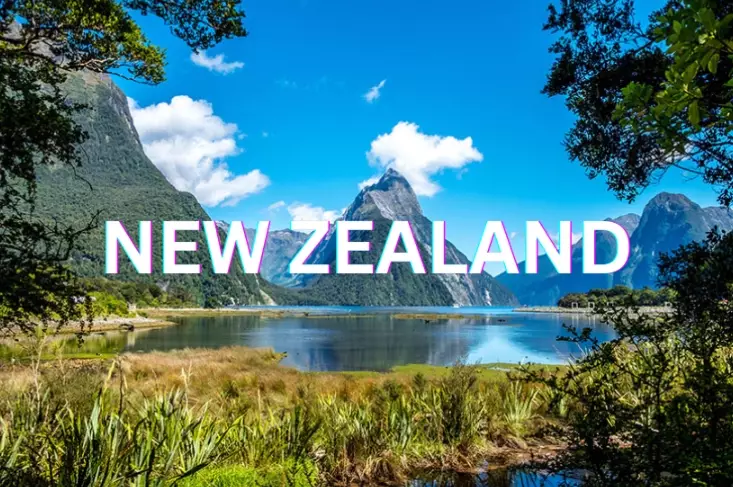 When is the Best Time to Visit New Zealand? A Complete Seasonal Guide
