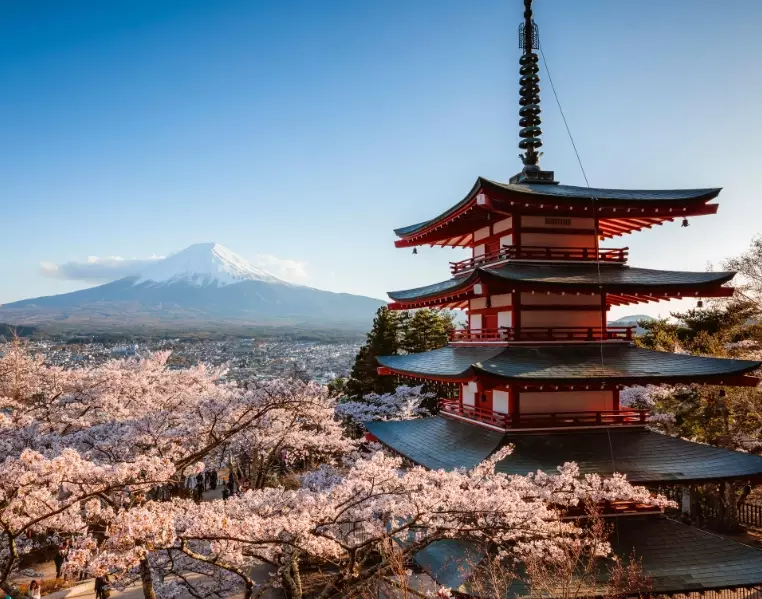 Japan trip cost from India