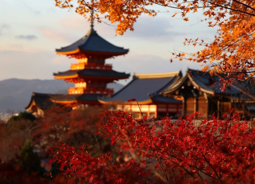 Japan Tourism for Indian Travelers: Your Complete Guide & Essential Tips