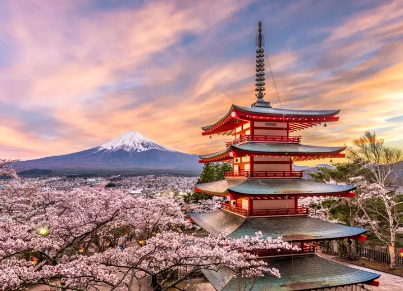 The Ultimate Guide to the Best Months to Visit Asia