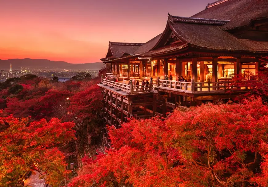 Japan travel requirements