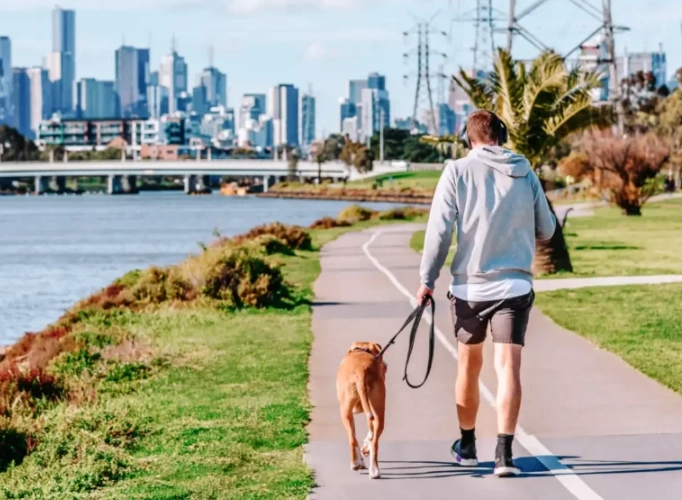 Is Melbourne a Walkable City? A Resident's Honest Guide to Getting Around on Foot