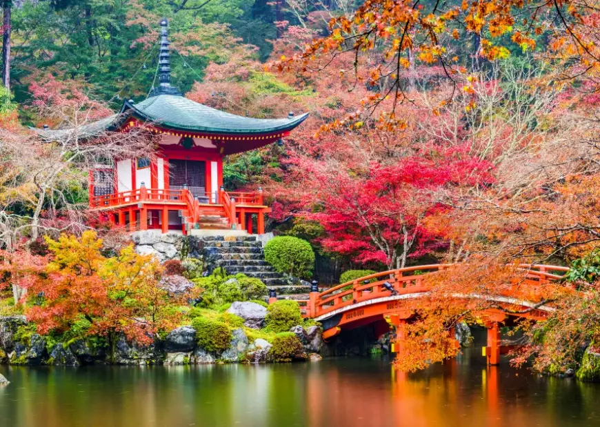 best places to visit in Japan