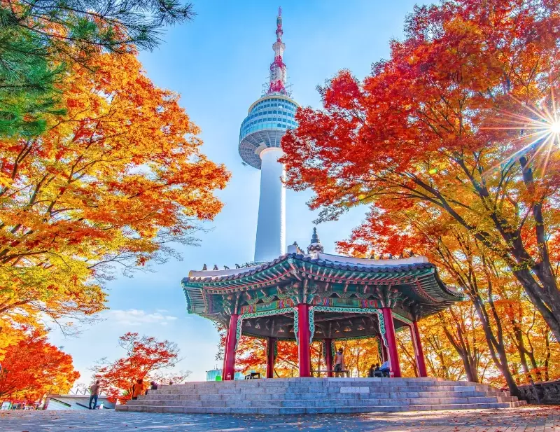 South Korea travel tips