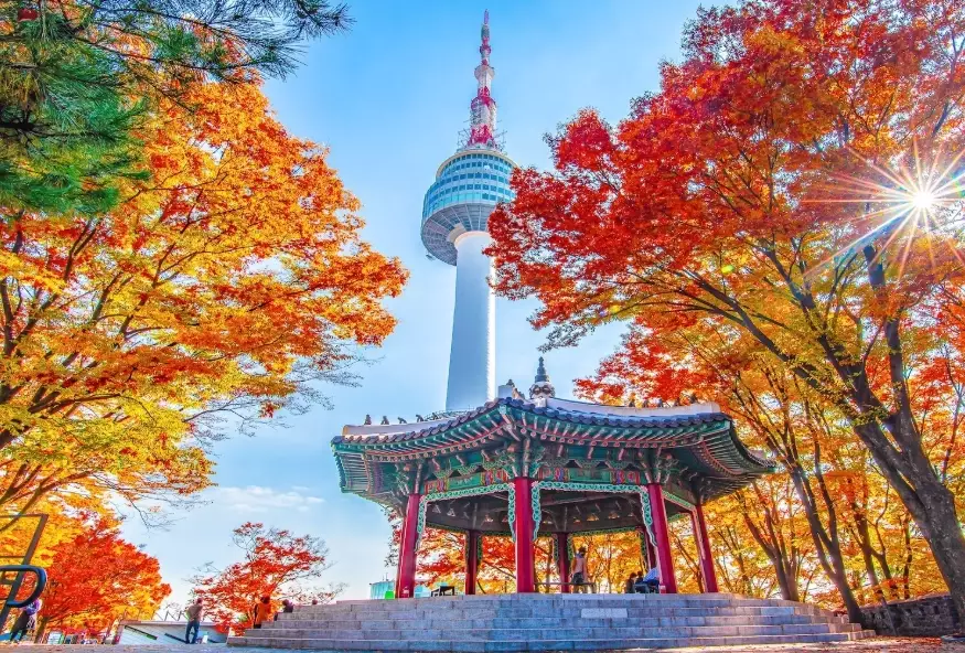 What is the 3 Day Rule in Korea? A Complete Guide to Dating & Culture