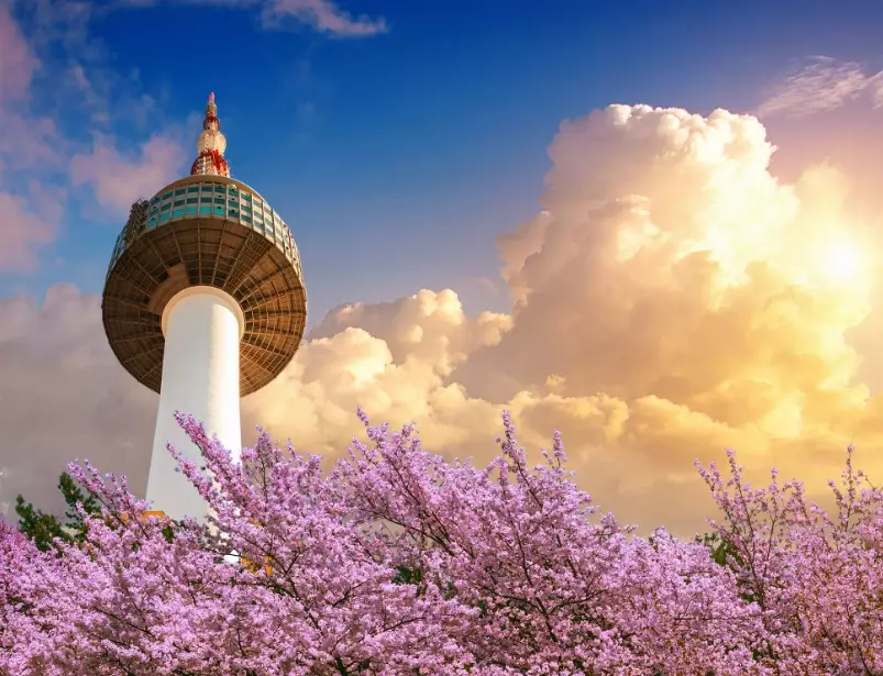 work life balance Korea