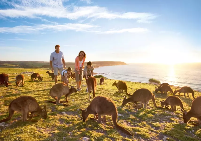 Australia Tourism Career Guide: Pathways, Jobs & How to Start