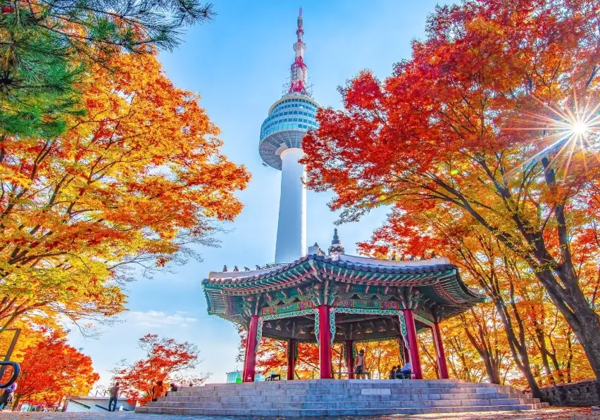 South Korea labor law