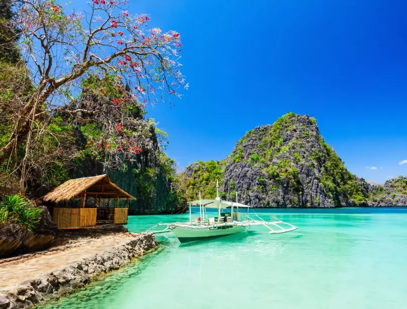 purpose of visiting Philippines