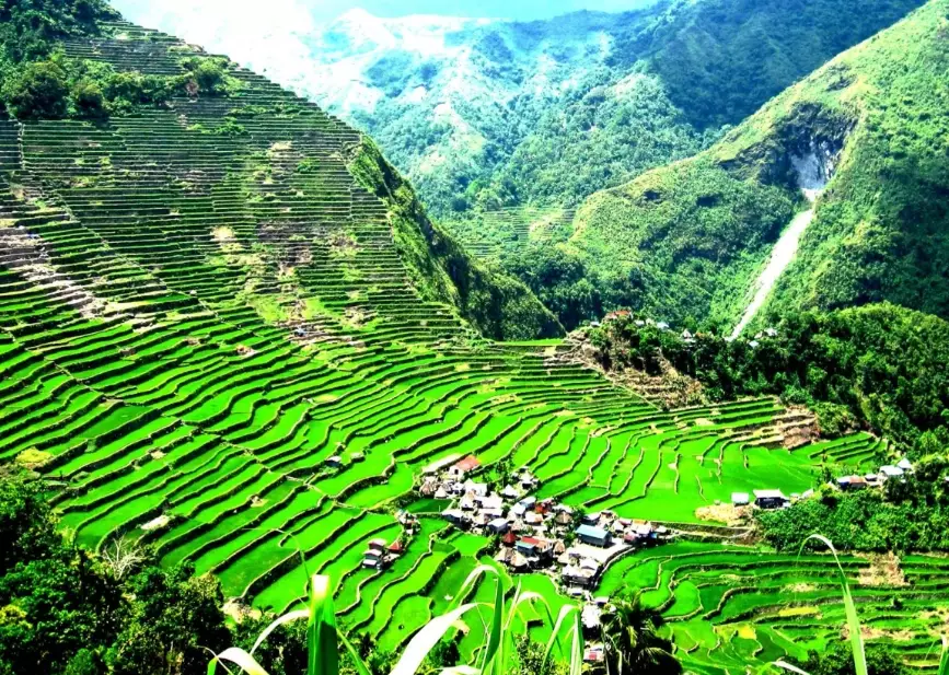 Philippines Tourism Statistics Explained: Visitor Trends & Data Insights