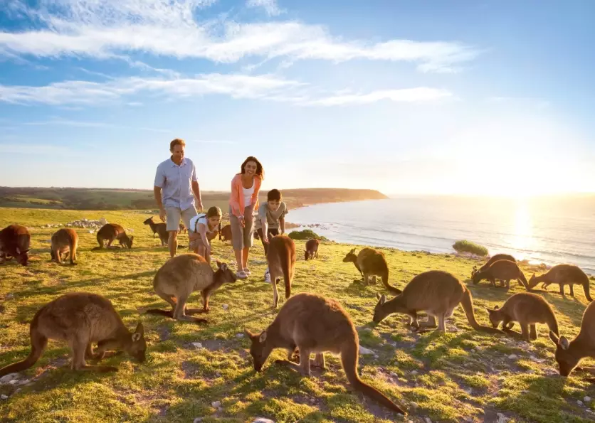 American tourists in Australia