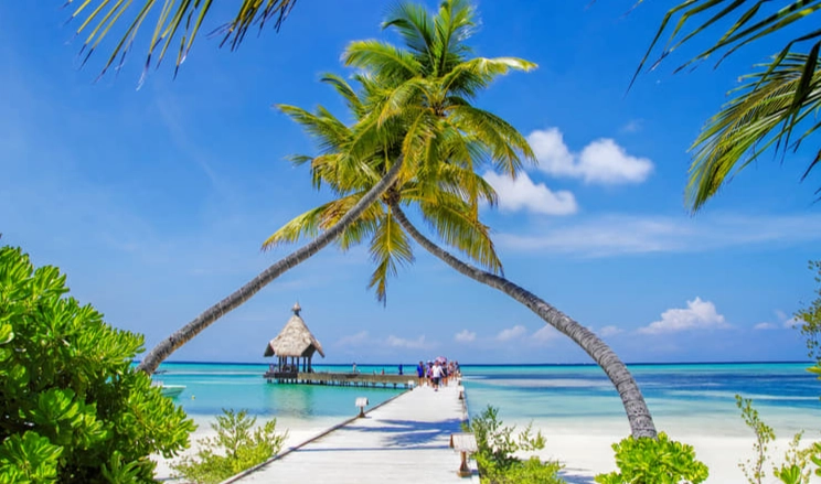 Maldives travel guide