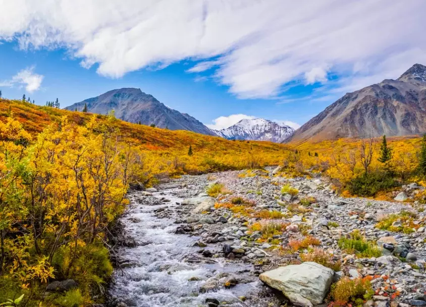 Canada travel by month