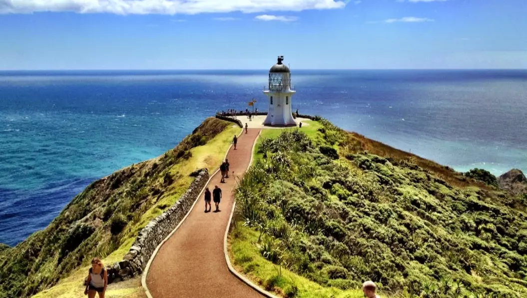 New Zealand daily expenses