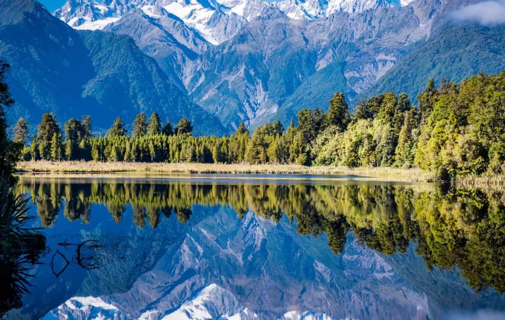 monthly expenses New Zealand tourism