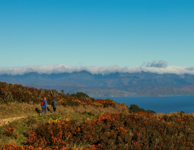 cost of living New Zealand