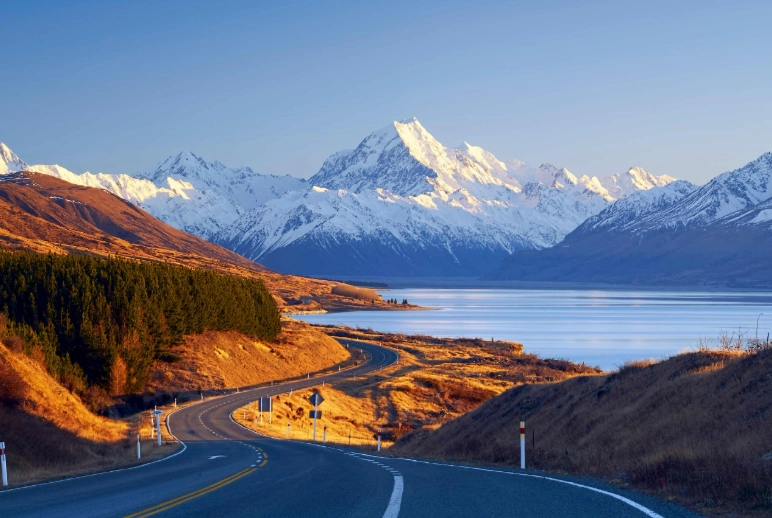 New Zealand travel expenses for Indians