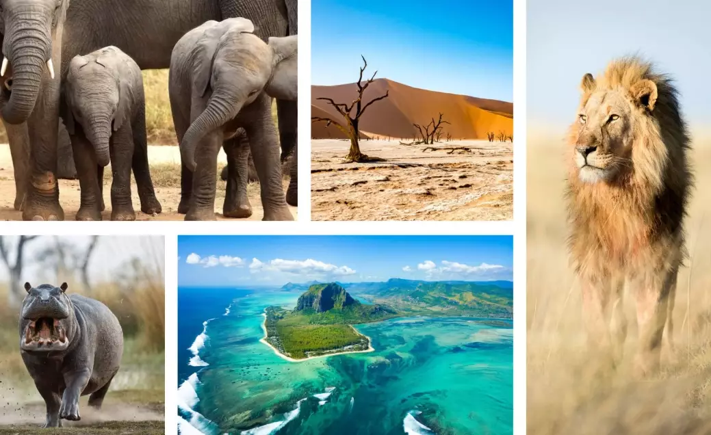 best time for safari best time for safari