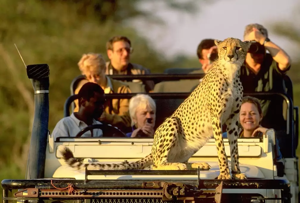 best safari destinations