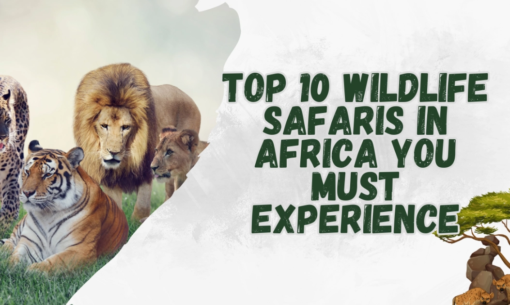 Top 10 African Safaris: Best Wildlife Adventures & Destinations
