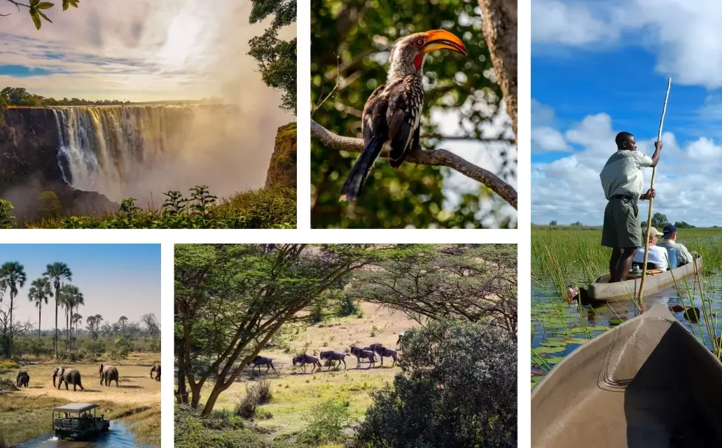 African safari seasons African safari seasons