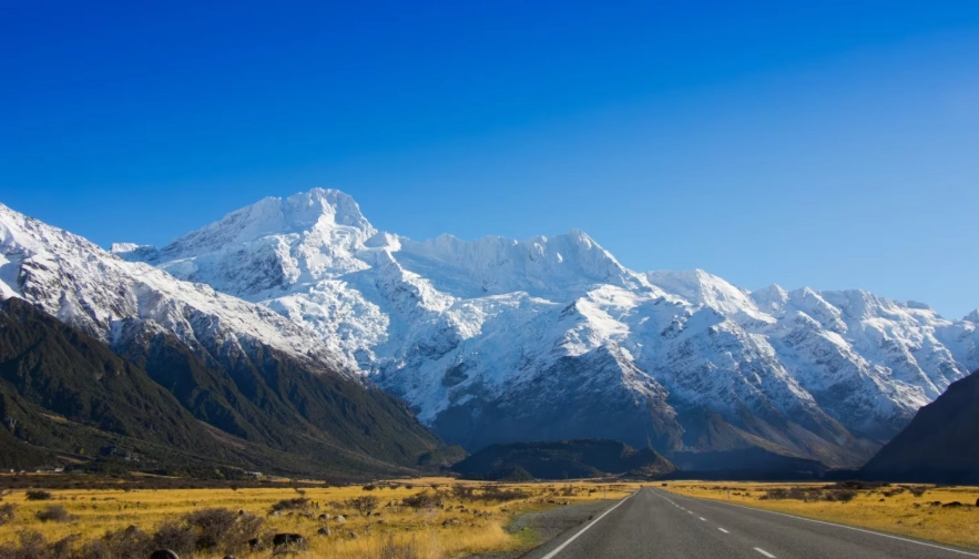 Best Places to Visit in New Zealand North Island: A Local's Guide