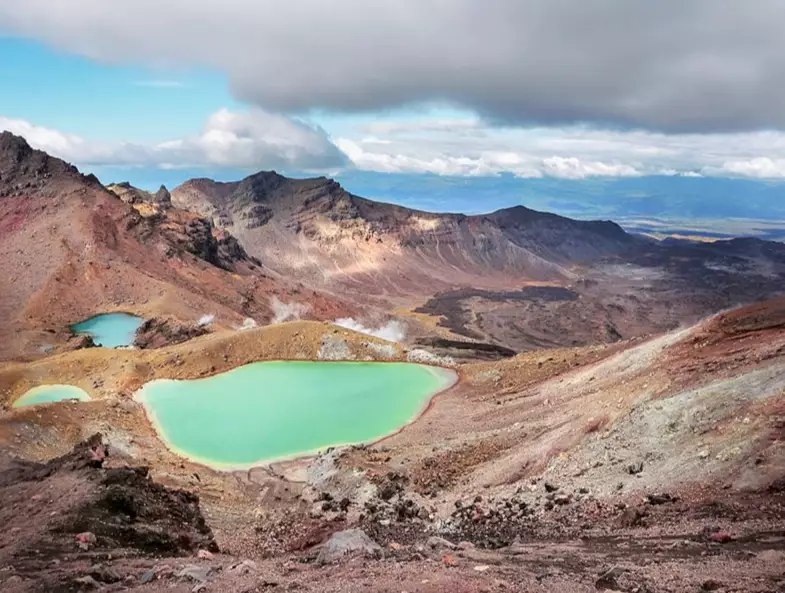 Must-Visit Places in Auckland New Zealand: A Local's Guide