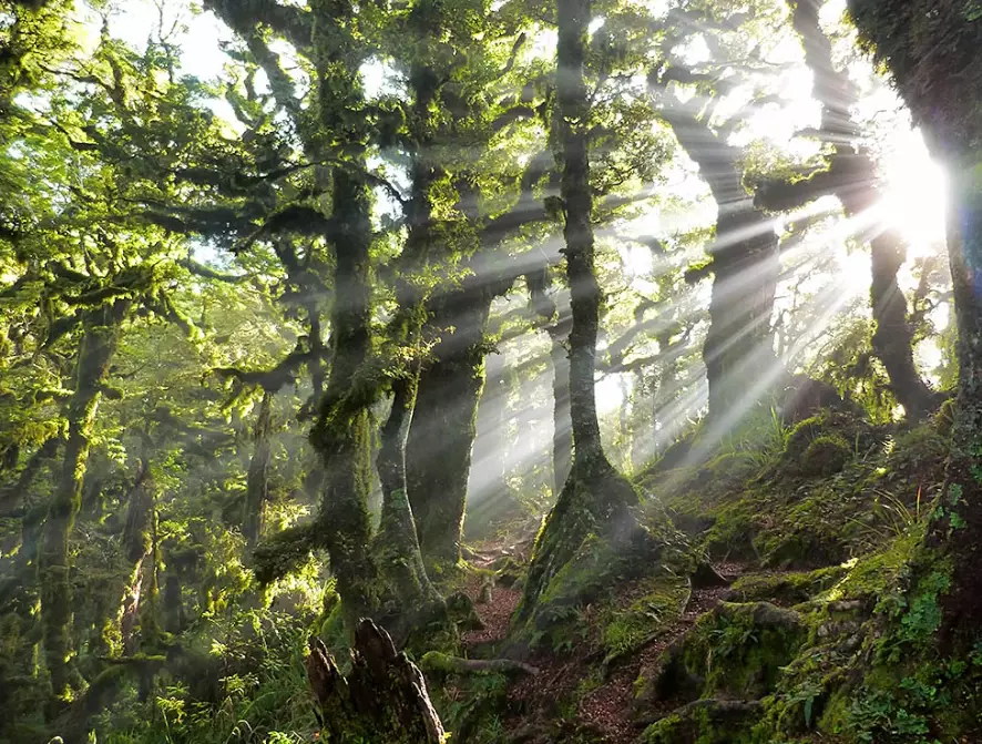 Fiordland National Park