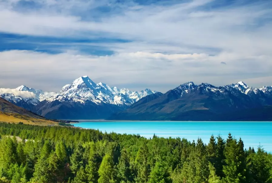 Top 5 Tourist Attractions in New Zealand: A Local's Guide