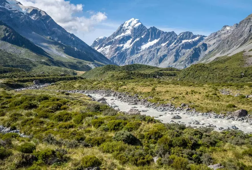 things to do in Auckland