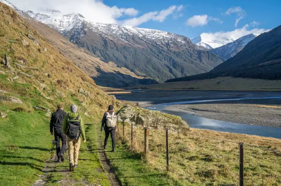 things to do in Auckland