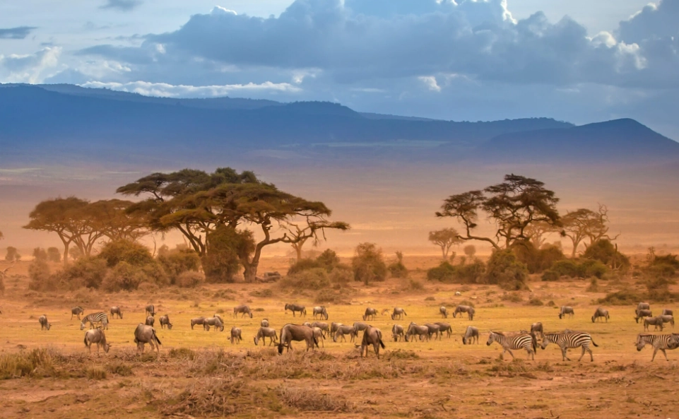 top african national parks