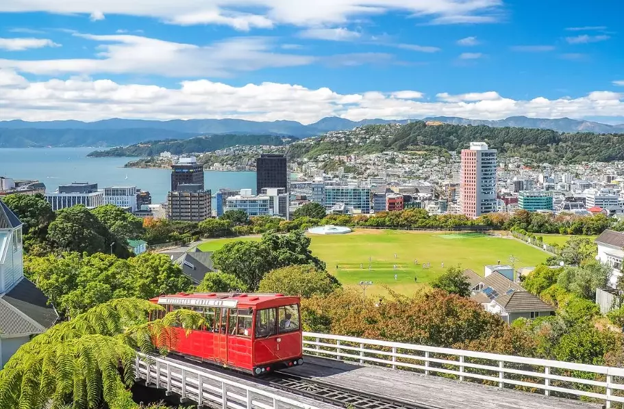 accessible New Zealand tours