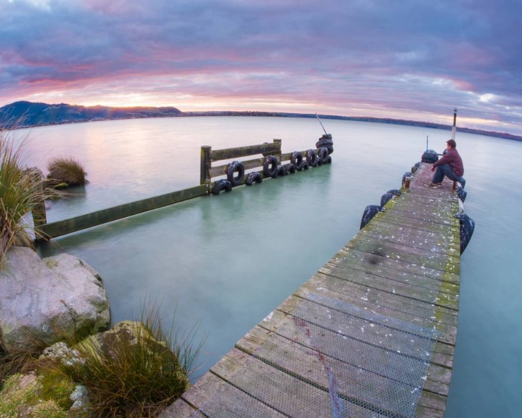 Senior-Friendly New Zealand Tours: A Complete Guide for Travelers Over 50