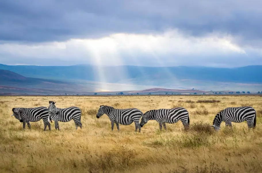 best african safaris