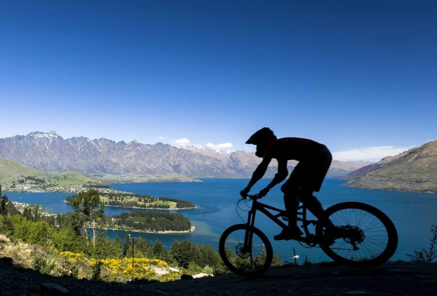 accessible New Zealand tours