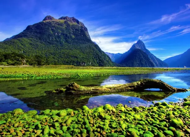 best attractions NZ
