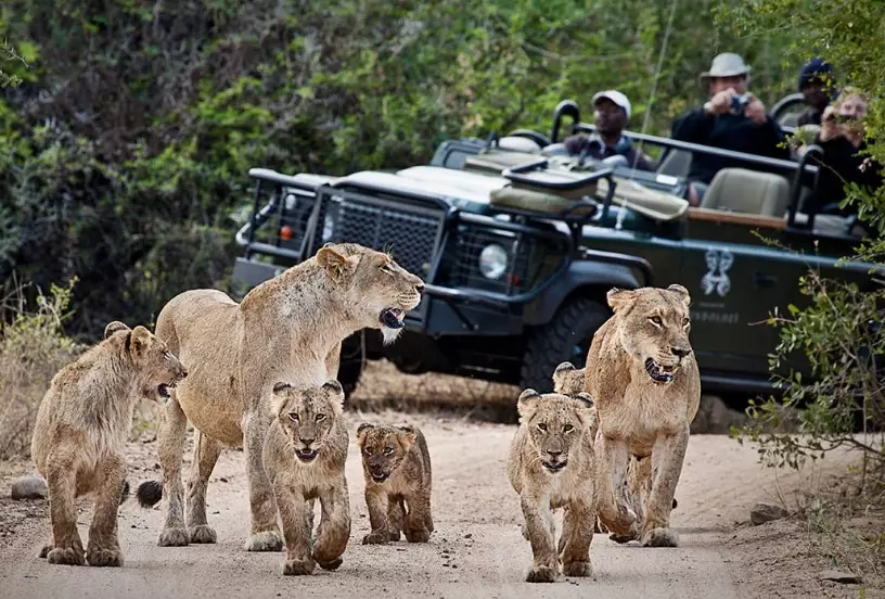 best African safari destinations best African safari destinations