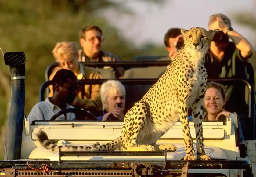 best African safari destinations best African safari destinations