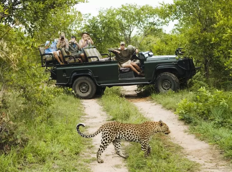 African Safari Cost Guide: Budget, Mid-Range & Luxury Prices